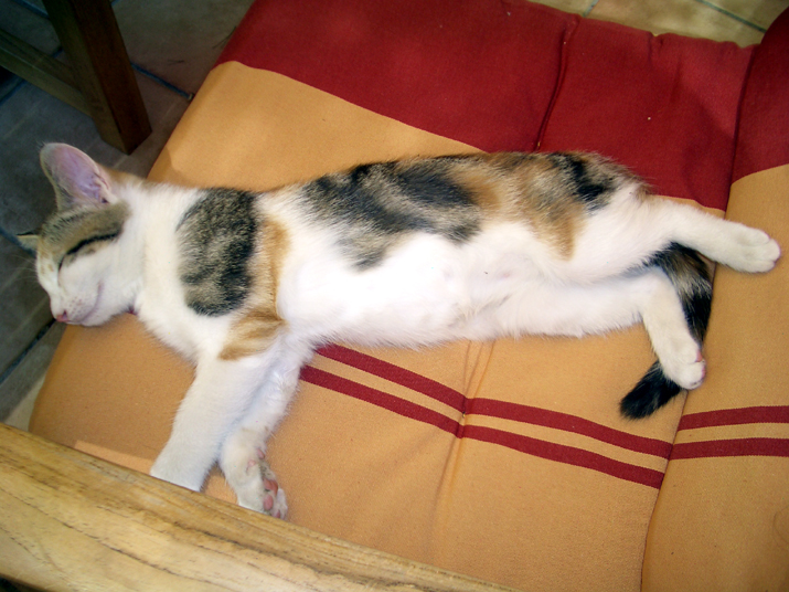 Caramel 08-04 000.jpg